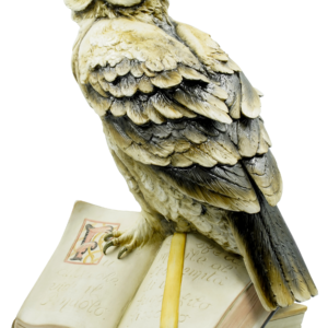 OWL WITH BOOK
